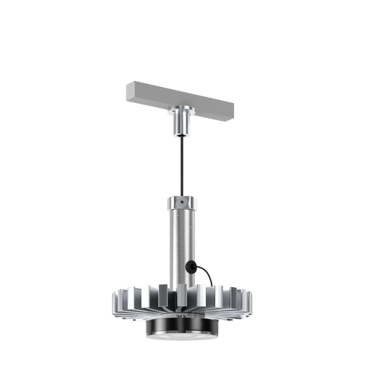 Skin+Bones™ Pendant | Stone-Rumbled™ | Track Adapter