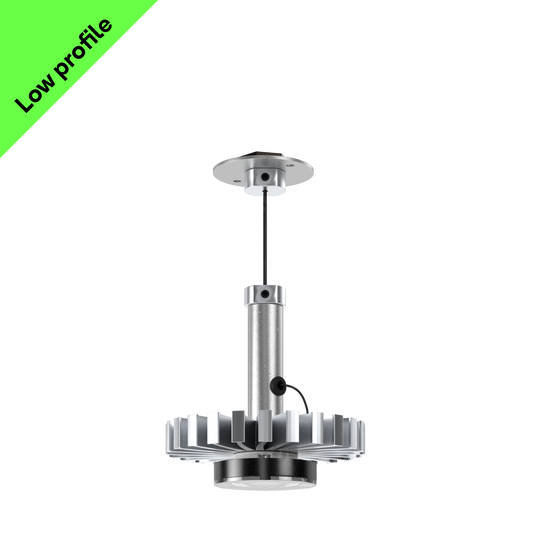 Skin+Bones™ Pendant | Stone-Rumbled™ | Disc Monopoint