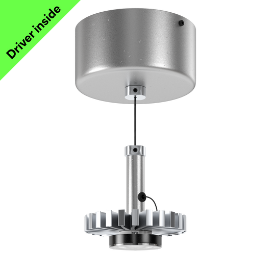 Skin+Bones™ Pendant | Stone-Rumbled™ | Large Monopoint