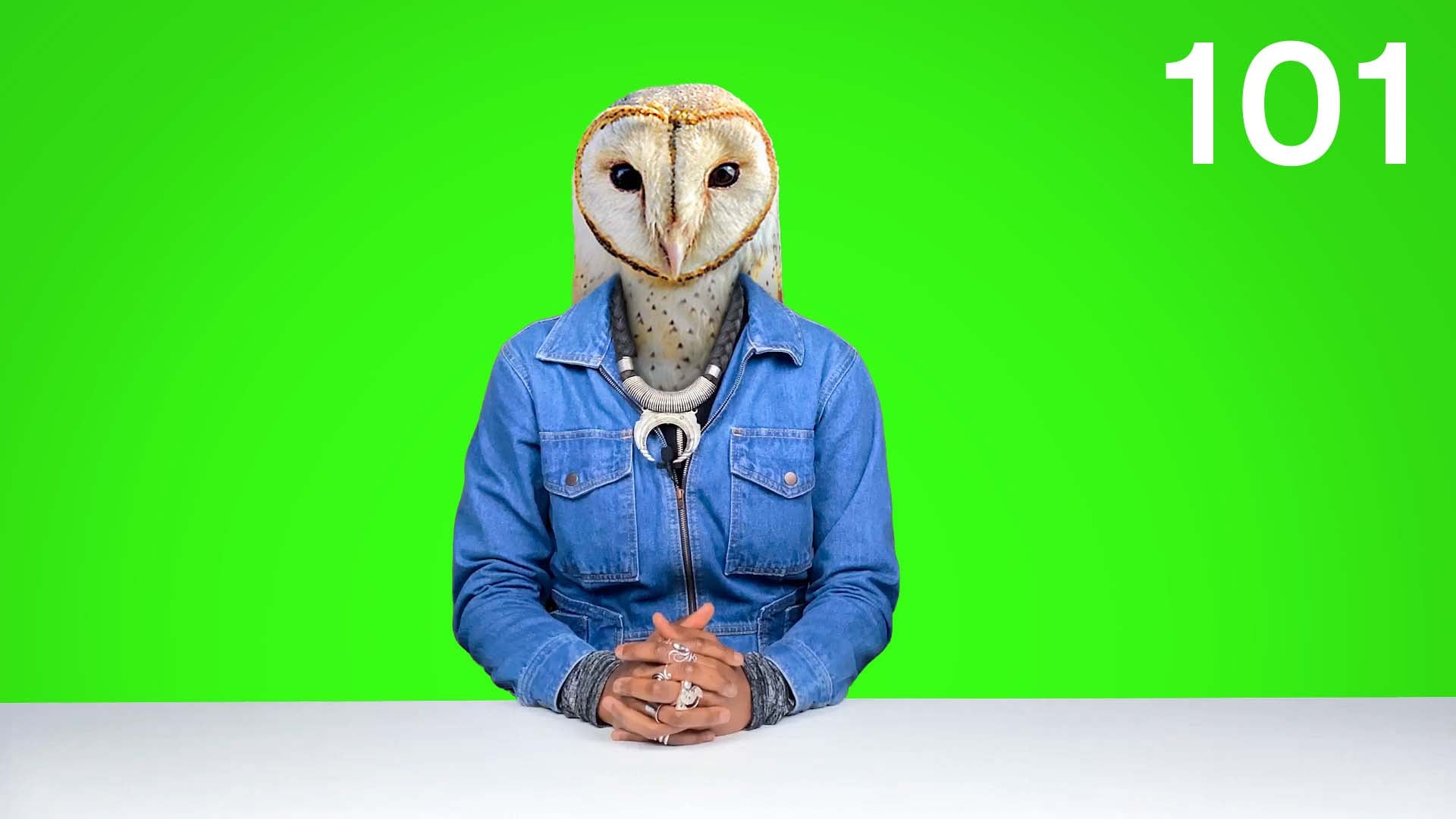 A team factorylux person with a blue denim dress and an owls head 