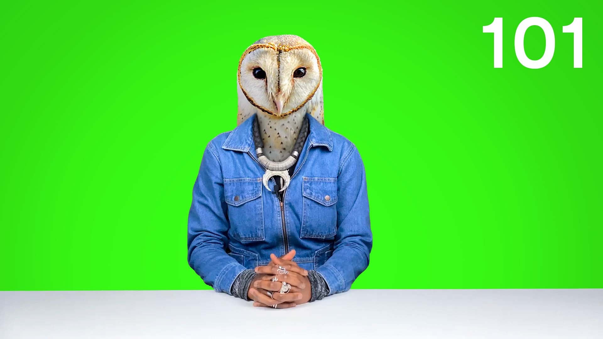 A team factorylux person with a blue denim dress and an owls head
